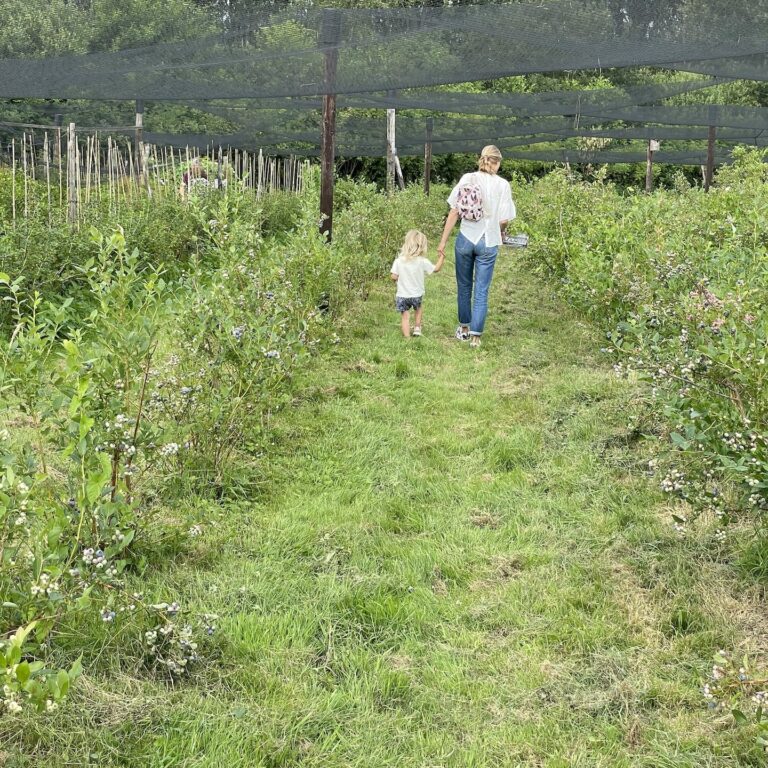 20210721 • Over de Tuin • 1057