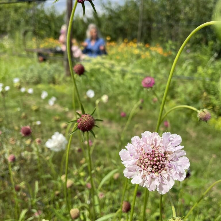 20210731 • Chillen in de Bloementuin • 1452