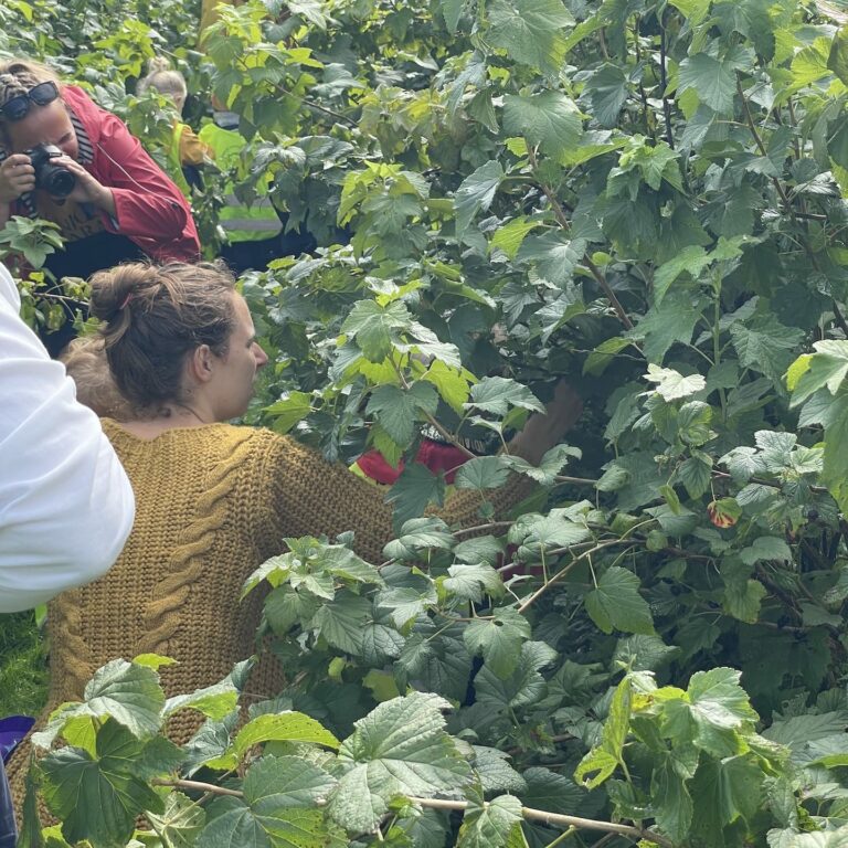 20210806 • Peuterspeelzaal • 1042