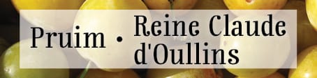 Struikrover • Pruim • Reine Claude d'Oulllins